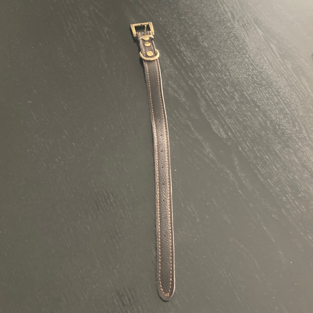 Black Leather dog collar with Brass Buckle